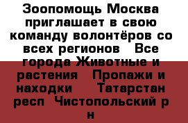 Зоопомощь.Москва приглашает в свою команду волонтёров со всех регионов - Все города Животные и растения » Пропажи и находки   . Татарстан респ.,Чистопольский р-н